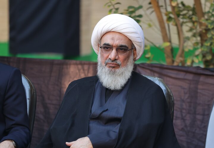 آیت الله صفایی بوشهری: آقای پزشکیان! توجه به فرهنگ راهبردی است آیت الله صفایی بوشهری: آقای پزشکیان! توجه به فرهنگ راهبردی است