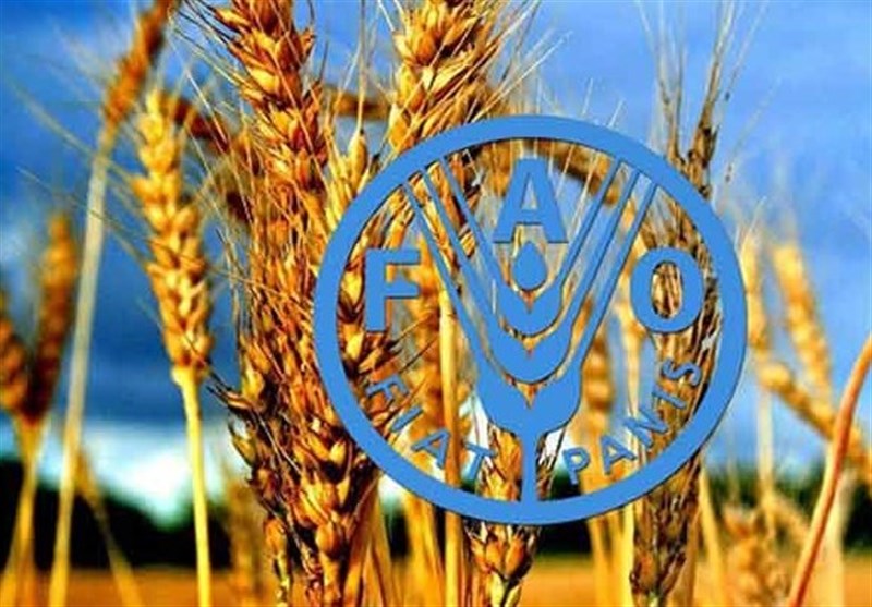 برنامه پزشکان خاک ایران مورد تحسین فائو قرار گرفت برنامه پزشکان خاک ایران مورد تحسین فائو قرار گرفت