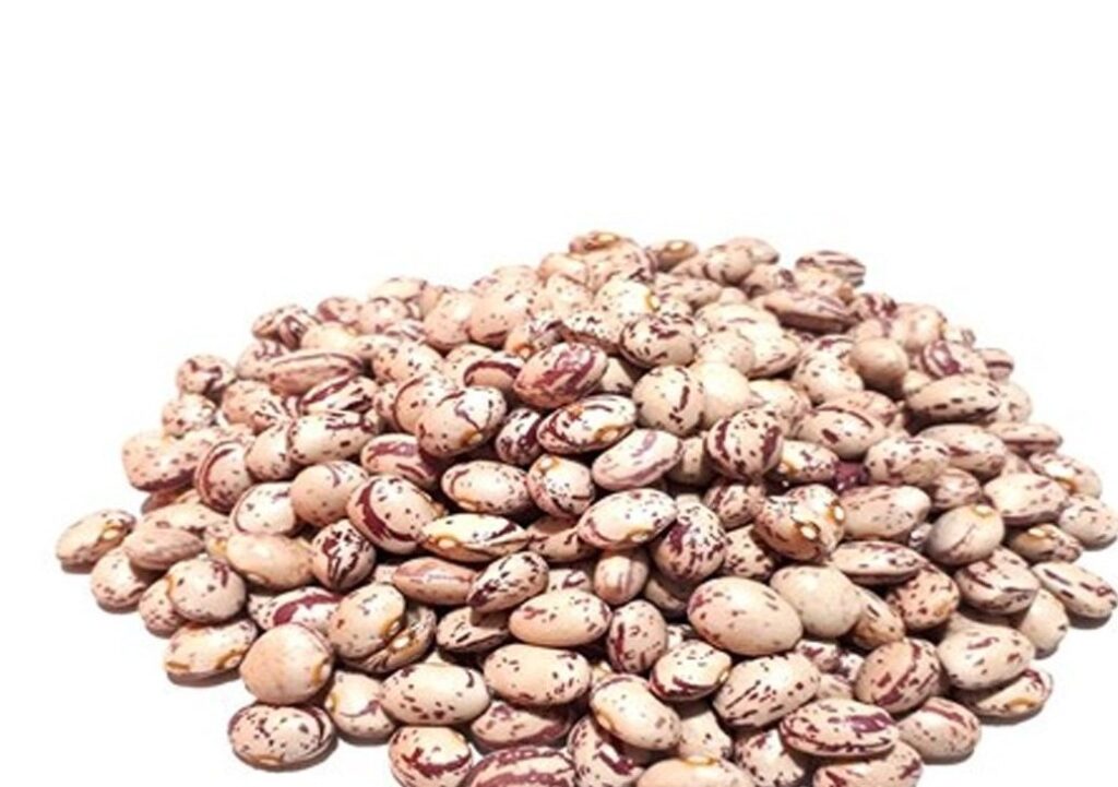 رشد 27 برابری قیمت لوبیا چیتی در 6 سال رشد 27 برابری قیمت لوبیا چیتی در 6 سال