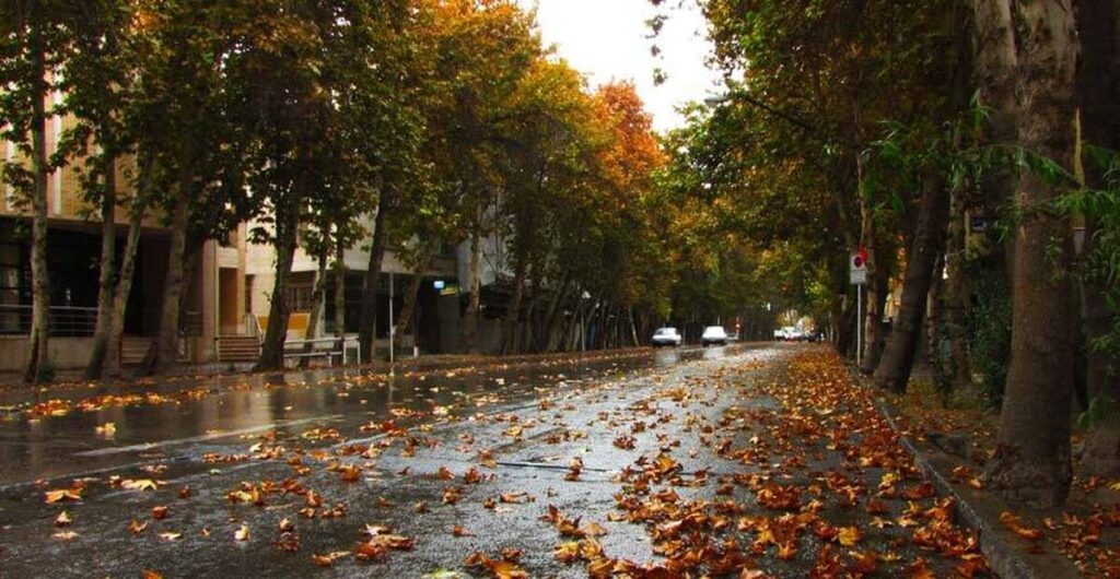 نام یک بازیگر زن مشهور بر خیابانی در تهران+ عکس نام یک بازیگر زن مشهور بر خیابانی در تهران+ عکس