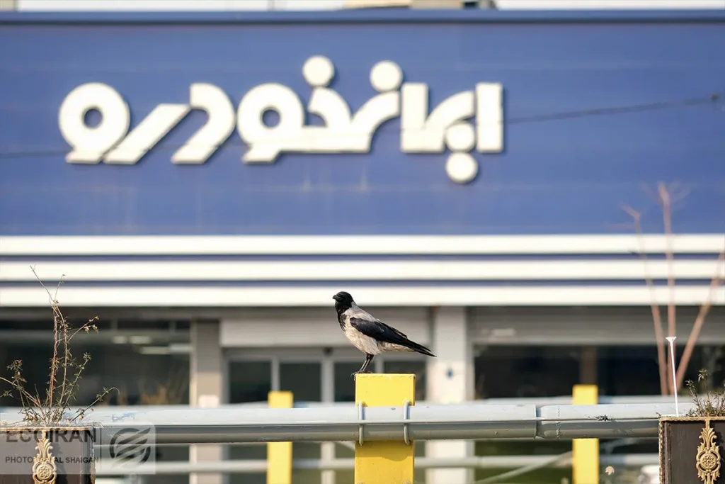 نتایج قرعهکشی ایرانخودرو: وضعیت خودروی هایما را با کد ملی ببینید نتایج قرعهکشی ایرانخودرو: وضعیت خودروی هایما را با کد ملی ببینید