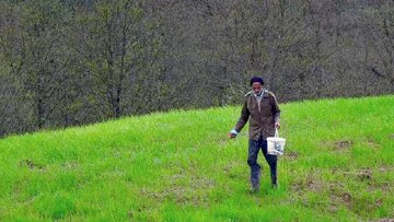 تنهایی و وفاداری قدمعلی در یک روستای خالی تنهایی و وفاداری قدمعلی در یک روستای خالی