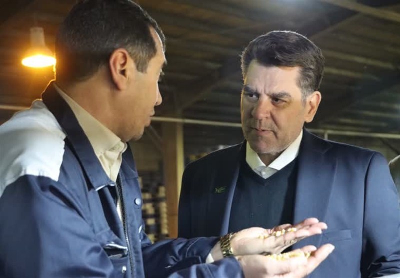 حرکت کشت و صنعت پارس بهسوی هاب منطقهای تولید بذر علوفهای حرکت کشت و صنعت پارس بهسوی هاب منطقهای تولید بذر علوفهای