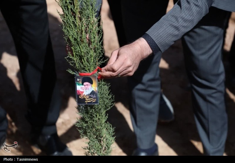 9 میلیون اصله نهال در طرح پویش سرو ایرانی کاشته شد 9 میلیون اصله نهال در طرح پویش سرو ایرانی کاشته شد