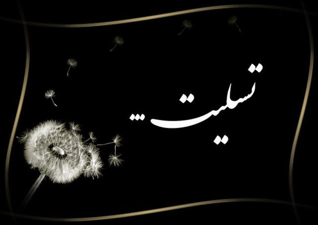 شهادت دانشجوی پزشکی در بمباران میدان انقلاب شهادت دانشجوی پزشکی در بمباران میدان انقلاب