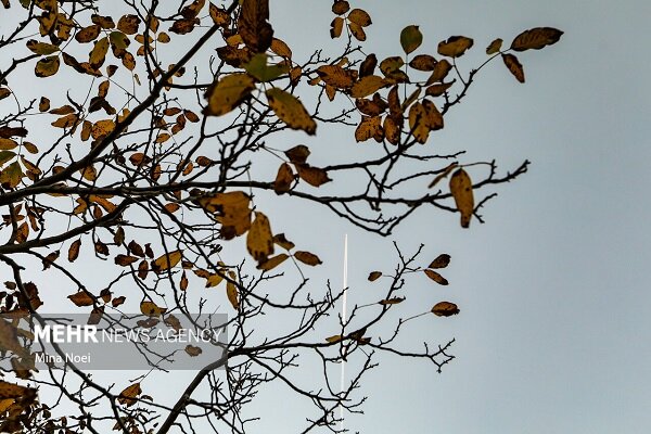 آغاز هفته آرام در استان سمنان؛ بارش تگرگ و باران در راه است آغاز هفته آرام در استان سمنان؛ بارش تگرگ و باران در راه است