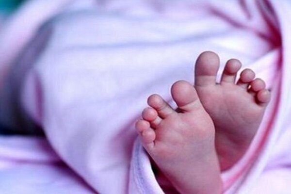 اجرای «کارت امید مادر» از اردیبهشت آغاز می شود اجرای «کارت امید مادر» از اردیبهشت آغاز می شود