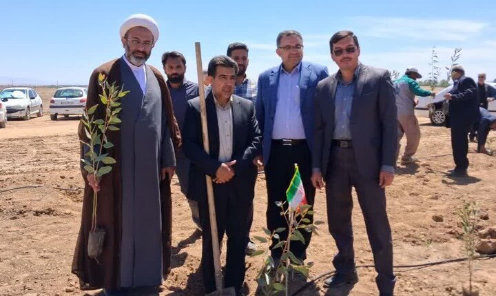 اصفهانیها در پویش سرو ایران ۶۰ هزار اصله نهال کاشتند اصفهانیها در پویش سرو ایران ۶۰ هزار اصله نهال کاشتند