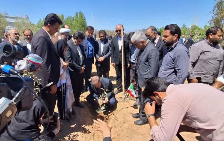 اصفهانیها در پویش سرو ایران ۶۰ هزار اصله نهال کاشتند اصفهانیها در پویش سرو ایران ۶۰ هزار اصله نهال کاشتند