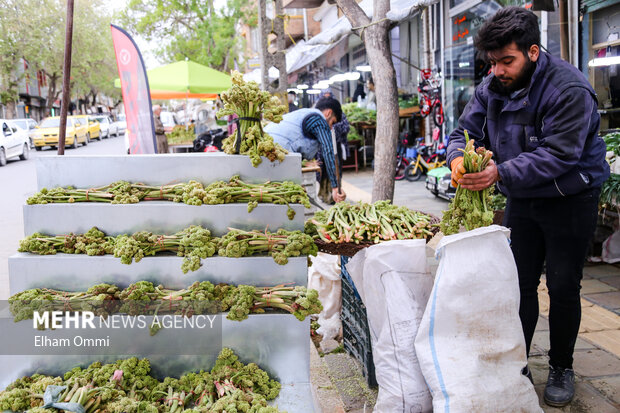 بهارِ سبز بیجار؛ روایت رویش دوباره طبیعت و بازگشت مردم به دامنهها بهارِ سبز بیجار؛ روایت رویش دوباره طبیعت و بازگشت مردم به دامنهها