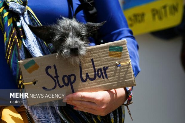 تجمع اعتراضی در واشنگتن علیه جنگ با ایران، لبنان و فلسطین تجمع اعتراضی در واشنگتن علیه جنگ با ایران، لبنان و فلسطین