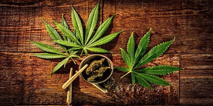 زدن این گل؛ گل به خودی است! زدن این گل؛ گل به خودی است!