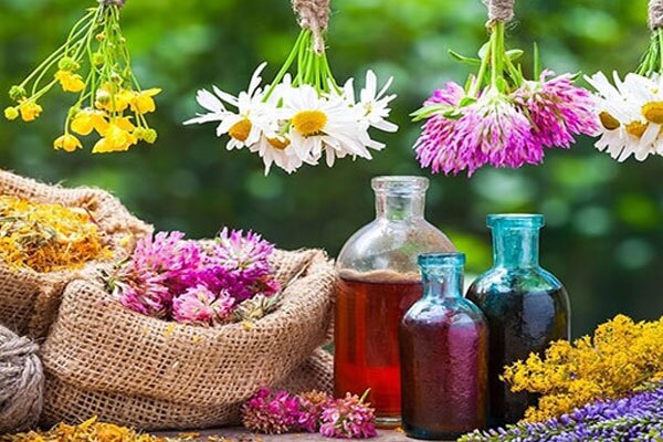 ظرفیت بالای گیاهان دارویی سراوان؛ بستری برای توسعه اقتصادی ظرفیت بالای گیاهان دارویی سراوان؛ بستری برای توسعه اقتصادی