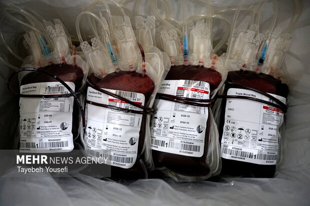 میرزاده: تیم سیار انتقال خون در سرپلذهاب مستقر میشود میرزاده: تیم سیار انتقال خون در سرپلذهاب مستقر میشود