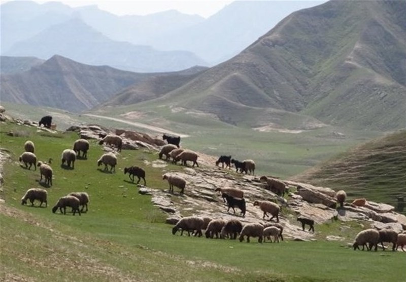 نرخ تعرفههای مرتعی در سال 1405 اعلام شد نرخ تعرفههای مرتعی در سال 1405 اعلام شد