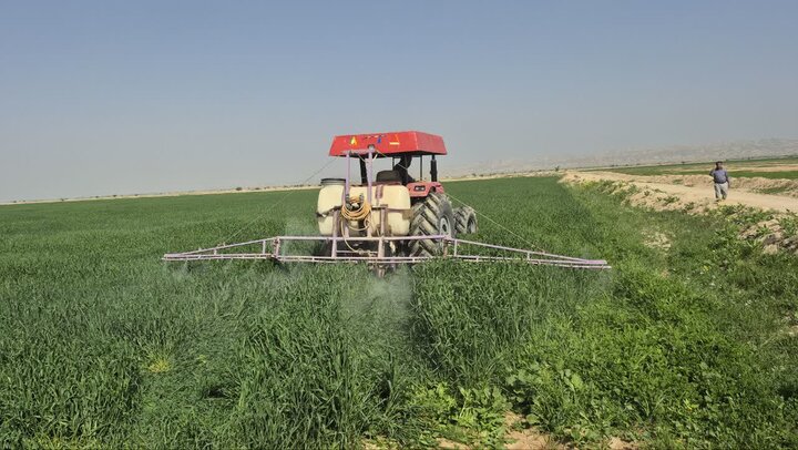 پیشبینی برداشت ۱۰ هزار تن گندم و جو در سربیشه پیشبینی برداشت ۱۰ هزار تن گندم و جو در سربیشه