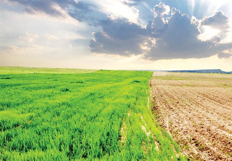 چالشهای اقلیمی کشاورزی ایران؛ از خشکسالی تا امنیت غذایی چالشهای اقلیمی کشاورزی ایران؛ از خشکسالی تا امنیت غذایی