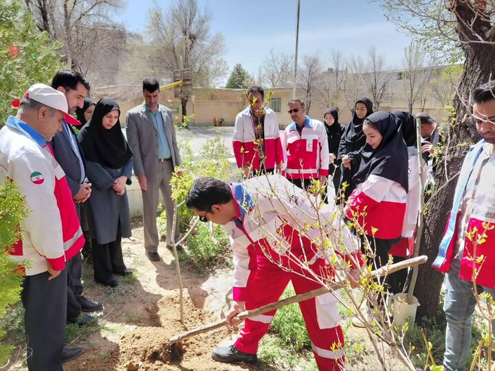 کاشت ۹ هزار و ۹۲۱ اصله نهال در چهارمحال و بختیاری کاشت ۹ هزار و ۹۲۱ اصله نهال در چهارمحال و بختیاری