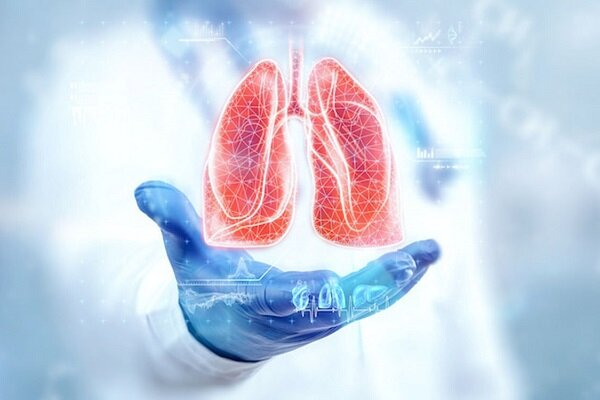 مجله اینترنتی شهر فارسی مجله اینترنتی شهر فارسی