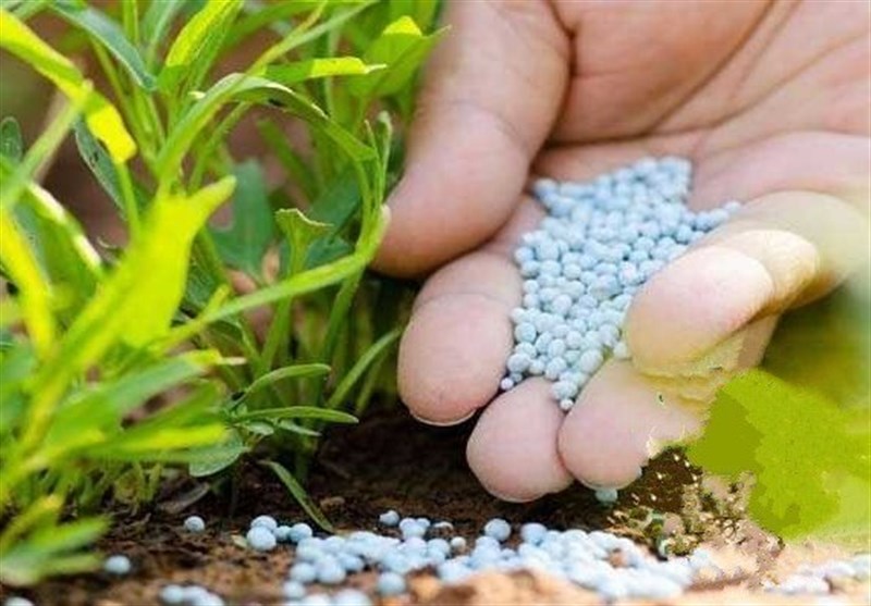 نسبت غلات به اوره به کف تاریخی رسید؛ خطر موج جدید تورم غذایی در جهان نسبت غلات به اوره به کف تاریخی رسید؛ خطر موج جدید تورم غذایی در جهان