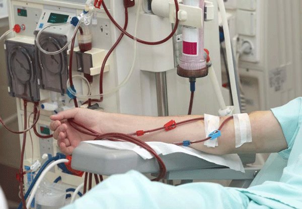 مجله اینترنتی شهر فارسی مجله اینترنتی شهر فارسی