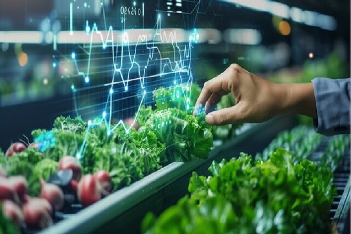 افزایش تابآوری با رفع گلوگاههای راهبردی زنجیره غذا افزایش تابآوری با رفع گلوگاههای راهبردی زنجیره غذا