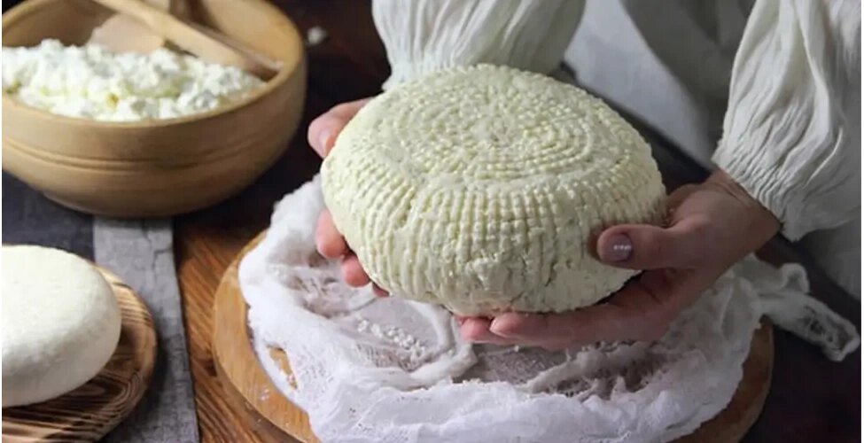 با این روش ساده در خانه پنیر خوشمزه درست کنید + روش تهیه پنیر خانگی فوری با این روش ساده در خانه پنیر خوشمزه درست کنید + روش تهیه پنیر خانگی فوری