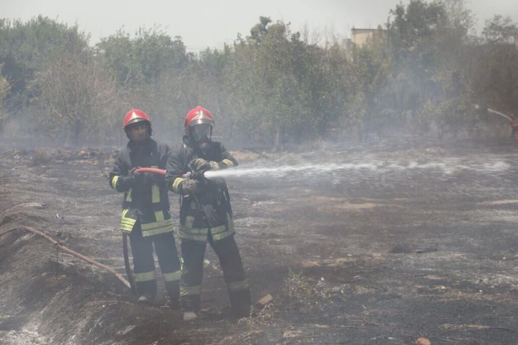 جزئیات سوختن ۱۰۰ اصله درخت در آتشسوزی مهیب مشهد جزئیات سوختن ۱۰۰ اصله درخت در آتشسوزی مهیب مشهد