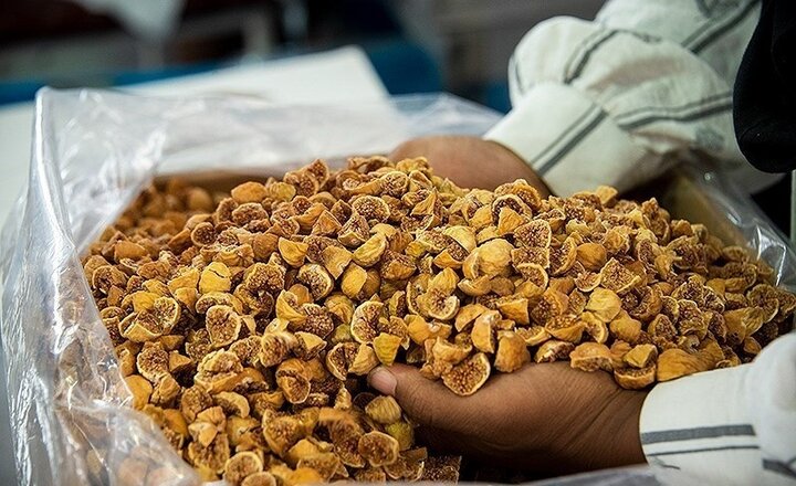 موقوفات چطور به حل مشکلات اقتصادی ورود کردهاند؟ موقوفات چطور به حل مشکلات اقتصادی ورود کردهاند؟