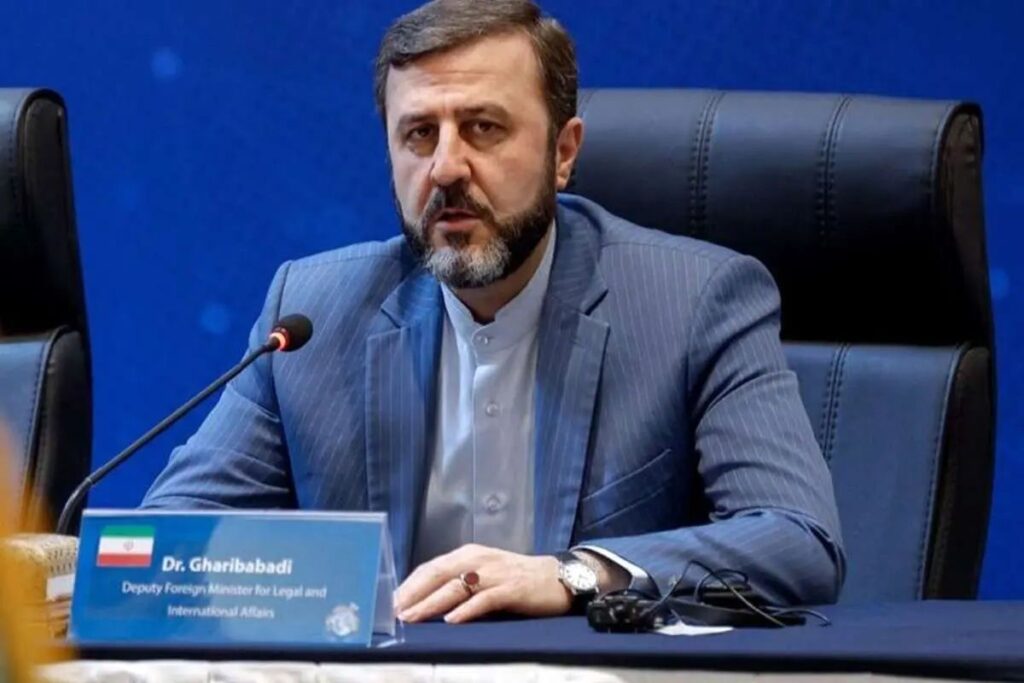 هشدار غریبآبادی به فرانسه/ اجازه ورود دیگران به مینزدایی تنگه هرمز را نمیدهیم هشدار غریبآبادی به فرانسه/ اجازه ورود دیگران به مینزدایی تنگه هرمز را نمیدهیم