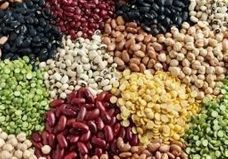113 درصد اختلاف قیمت لوبیا در بازار با وجود تخصیص ارز مبادلهای 113 درصد اختلاف قیمت لوبیا در بازار با وجود تخصیص ارز مبادلهای