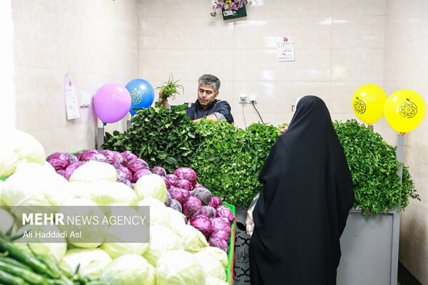 مجله اینترنتی شهر فارسی مجله اینترنتی شهر فارسی