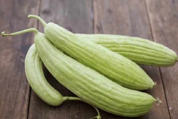 خورش خیار چنبر با گوشت قلقلی؛ طعم متفاوتی که عاشقش میشوید خورش خیار چنبر با گوشت قلقلی؛ طعم متفاوتی که عاشقش میشوید